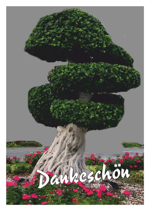 dankeschoen