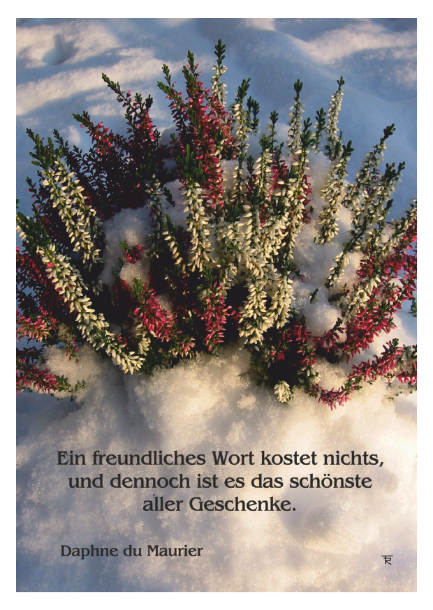ein-freundliches-wort