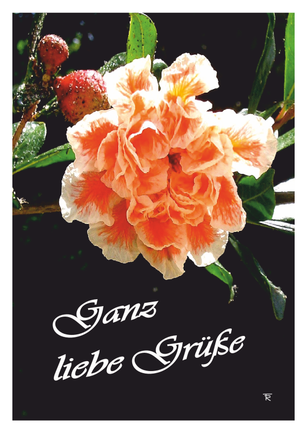 ganz-liebe-gruesse