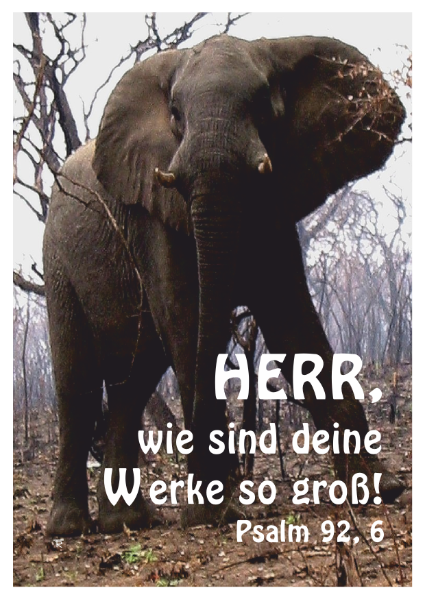 herr-wie-sind
