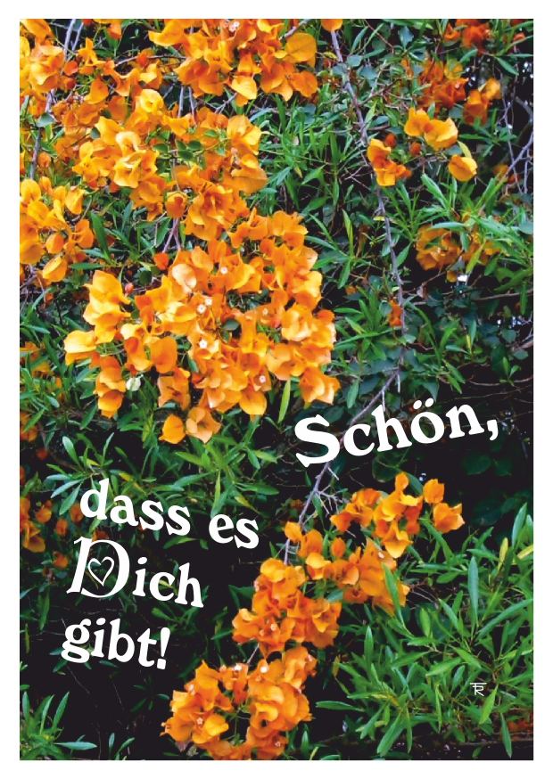 schoen-dass-es