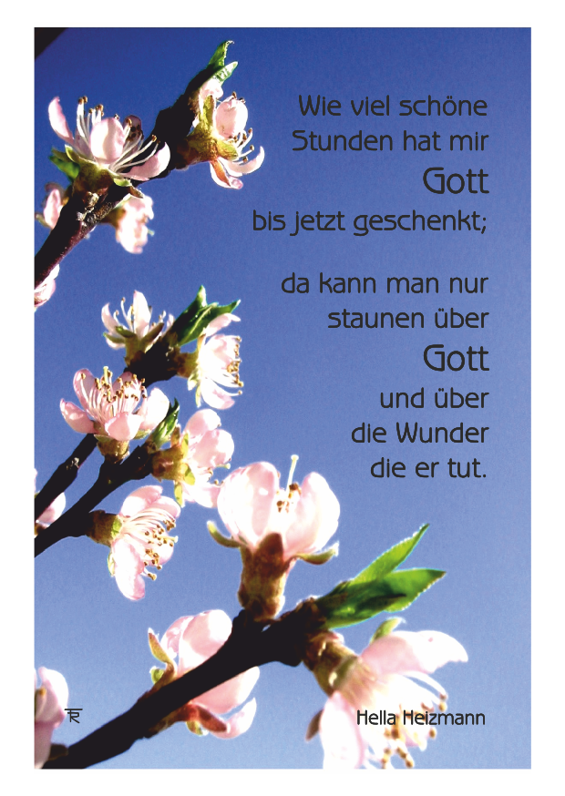 wieviel-schoene-stunden