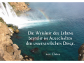 die-weisheit-des-lebens